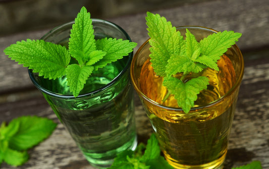 Take it easy with Lemon Balm Mint