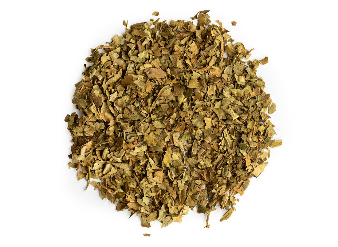 Gymnema Sylvestre Tea: Benefits, Taste, and How to Brew It