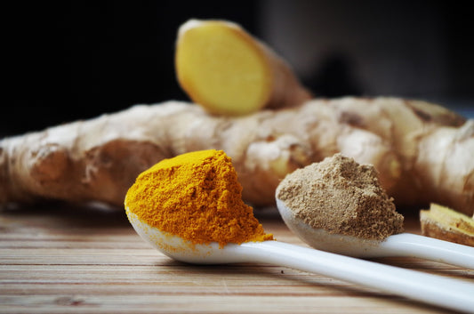 Turmeric in a white spoon and fresh ginger for cooking and herbal tea